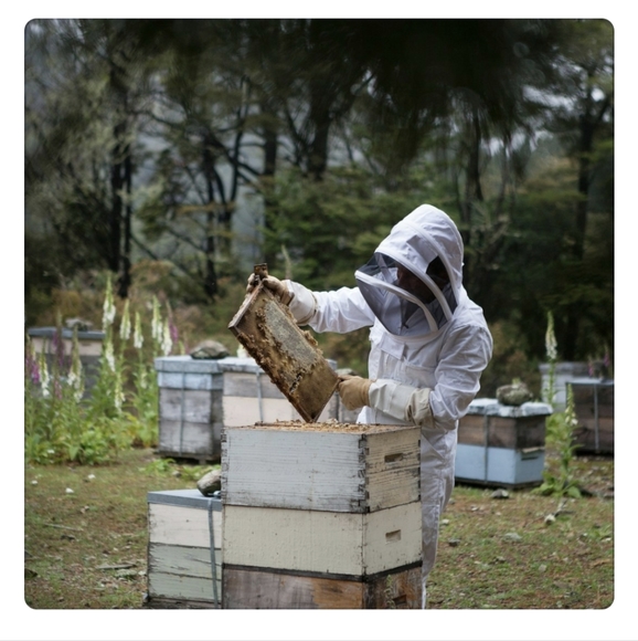 NWT Beekeepers 100% Cotton Coverall With Detachable Folding Veil Size XL - Picture 14 of 16